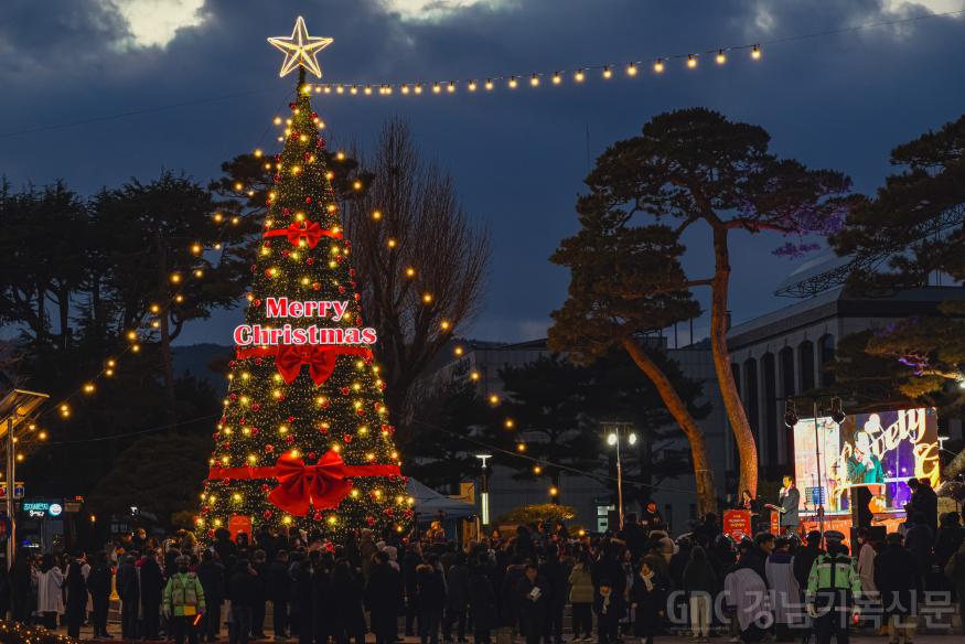 20251214 거창 크리스마스트리-01.jpg
