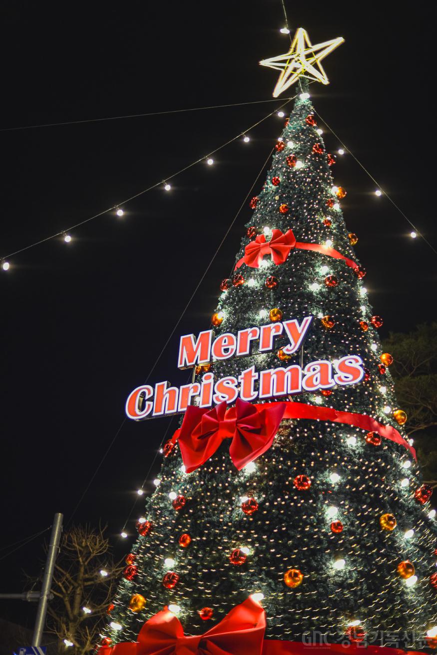 20251214 거창 크리스마스트리-11.jpg