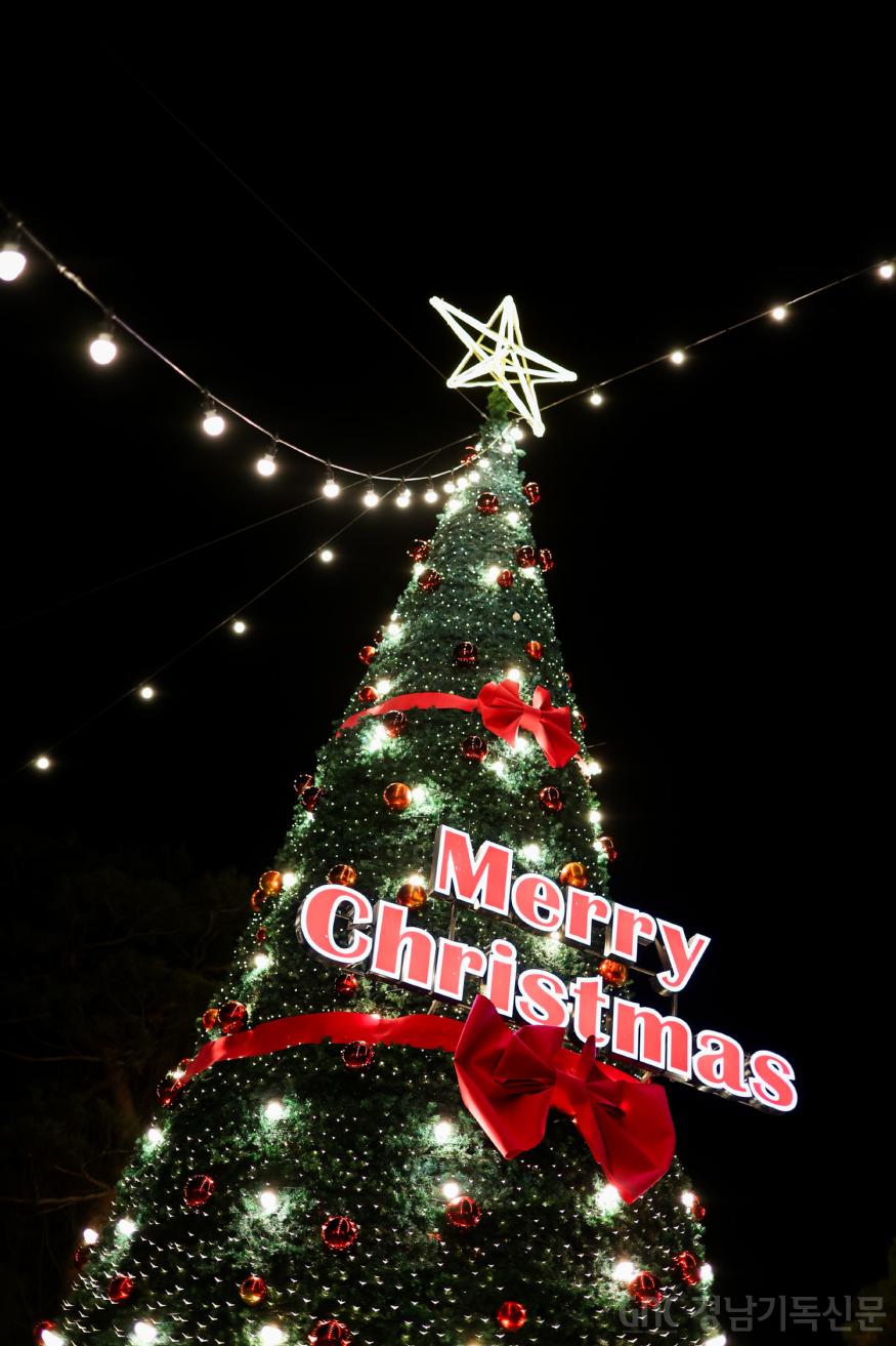 20251214 거창 크리스마스트리-14.jpg