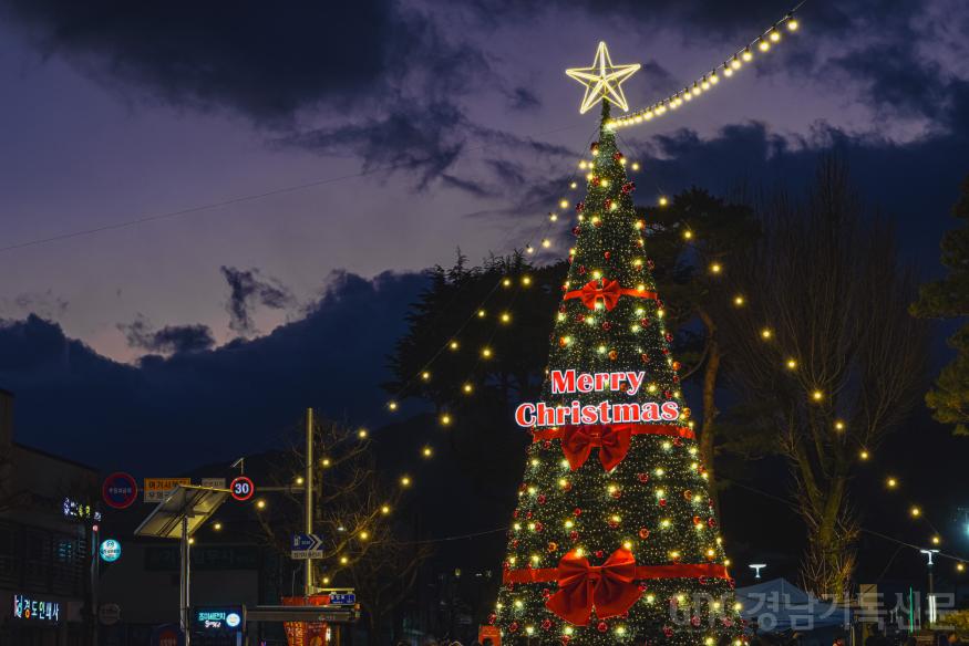 20251214 거창 크리스마스트리-08.jpg